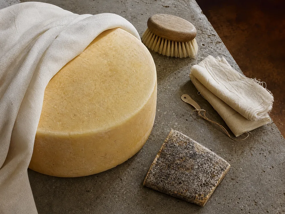 Young cheddar, cloth, and a mature natural-rind sample showing two aging stages | KnowTheCheese