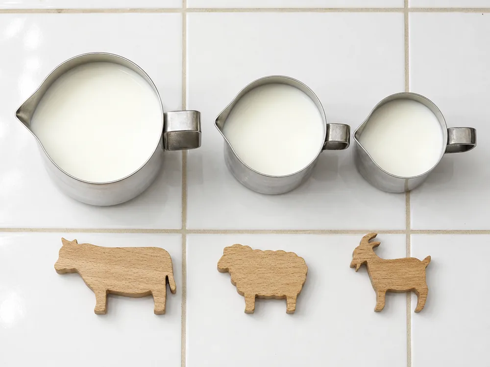 Separate cow sheep and goat milk measures representing permitted Cabrales milk blends | KnowTheCheese
