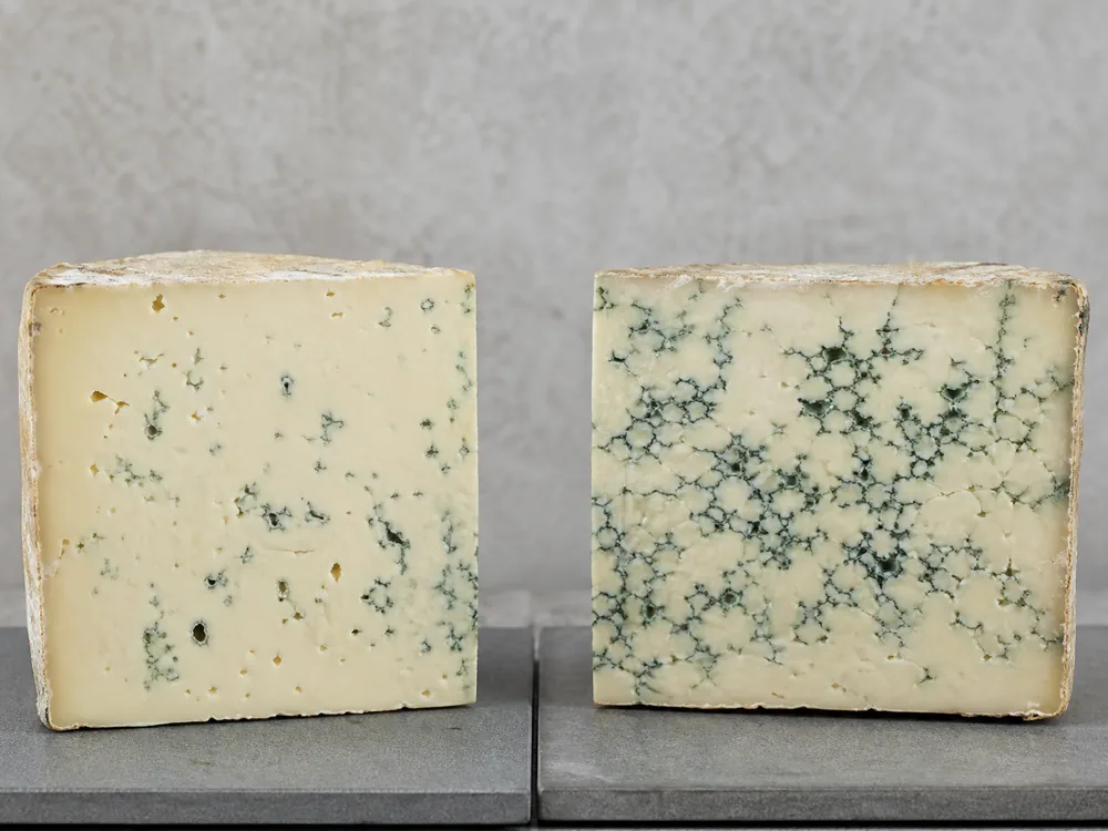 Two Cabrales-style wedges showing sparse and dense blue-green veining | KnowTheCheese