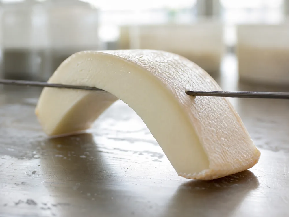 Flexible slice from a young 40-day sheep milk cheese | KnowTheCheese