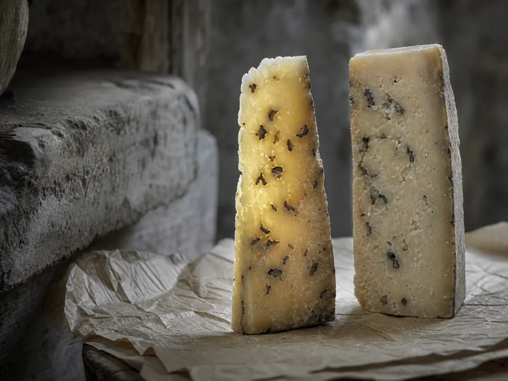 Firm aged pecorino with truffle pieces distributed through the paste | KnowTheCheese