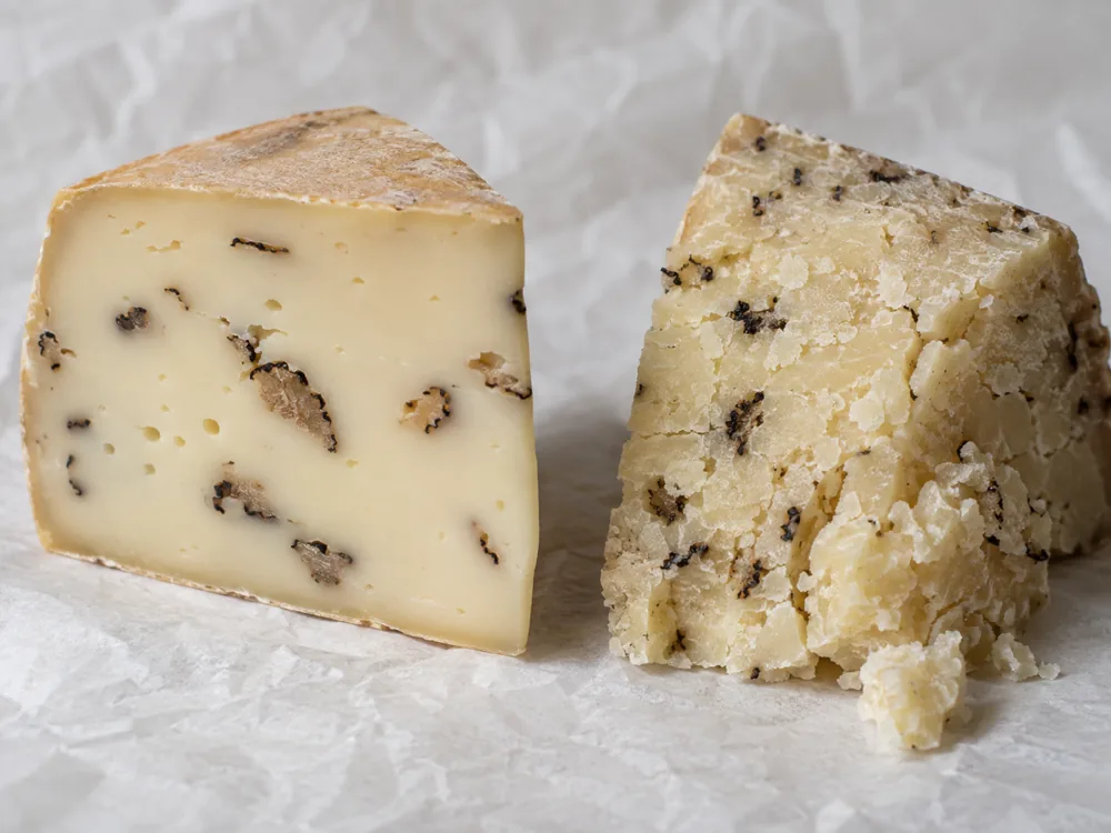 Soft smooth truffle cheese beside a firm crumbly one with dark truffle flecks - Cacio di Bosco al Tartufo | KnowTheCheese