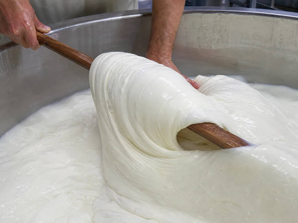 Buffalo milk curd being stretched and folded in a dairy vat | KnowTheCheese