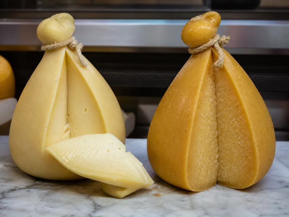 Younger and older cuts of buffalo caciocavallo showing changes in color and firmness | KnowTheCheese