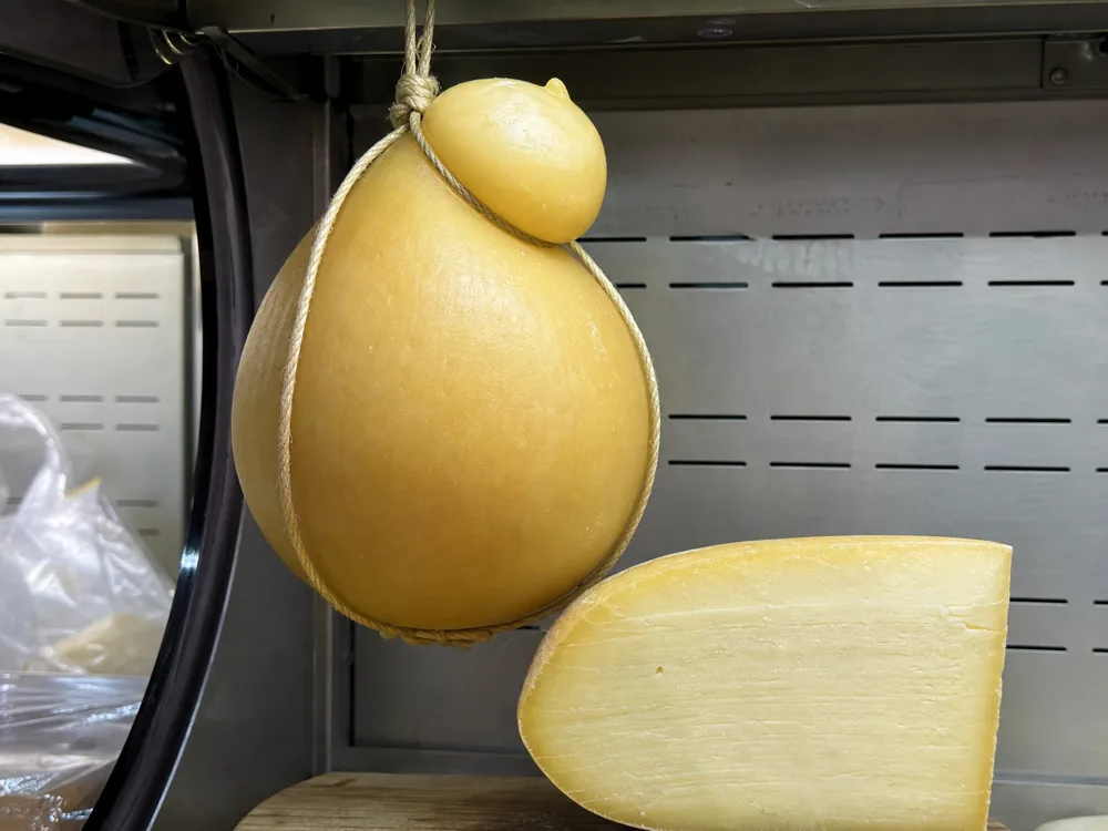 Hanging buffalo caciocavallo and a fresh cut showing its dry rind and compact paste | KnowTheCheese