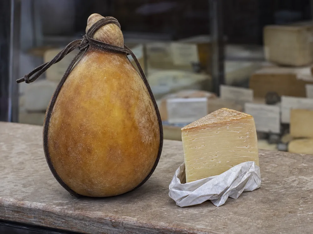 Shop-cut Caciocavallo Podolico Vetus beside its cord-tied mature form | KnowTheCheese