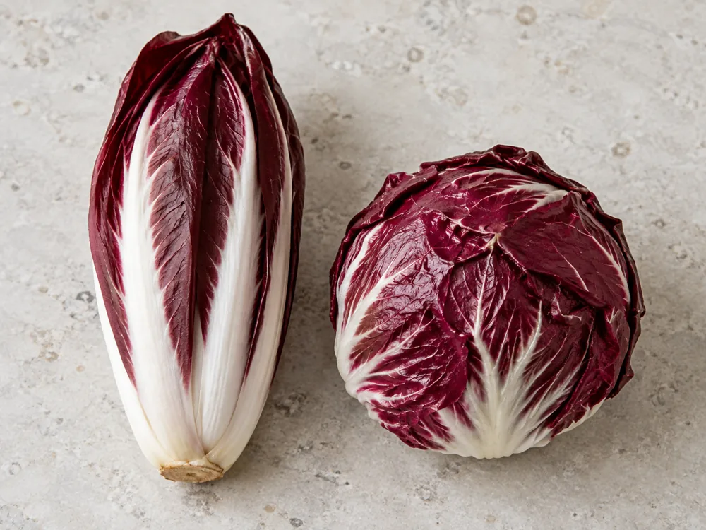 Elongated Treviso-type radicchio head beside a round Chioggia-type head - Cacioradicchio | KnowTheCheese