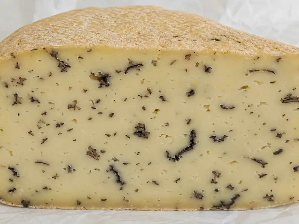 Close cross-section with irregular black truffle shavings throughout Caciotta al Tartufo | KnowTheCheese