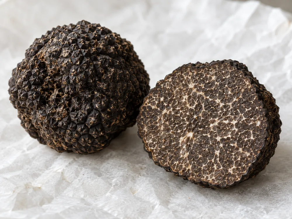Whole black truffle beside a halved one with dark flesh and pale veins - Caciotta al Tartufo | KnowTheCheese