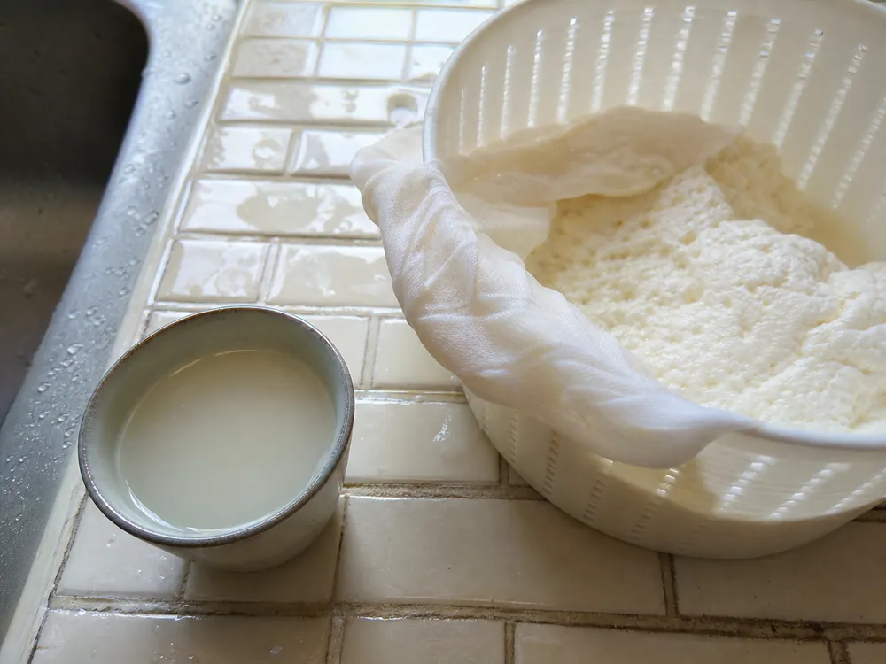 Cloudy whey starter beside draining fresh Canastra-style curd | KnowTheCheese
