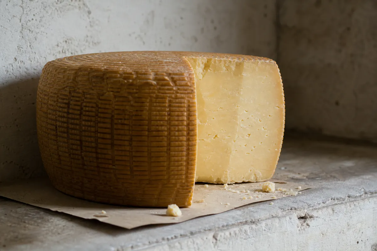 Basket-marked hard cheese wheel with a firm straw-colored paste - Canestrato | KnowTheCheese
