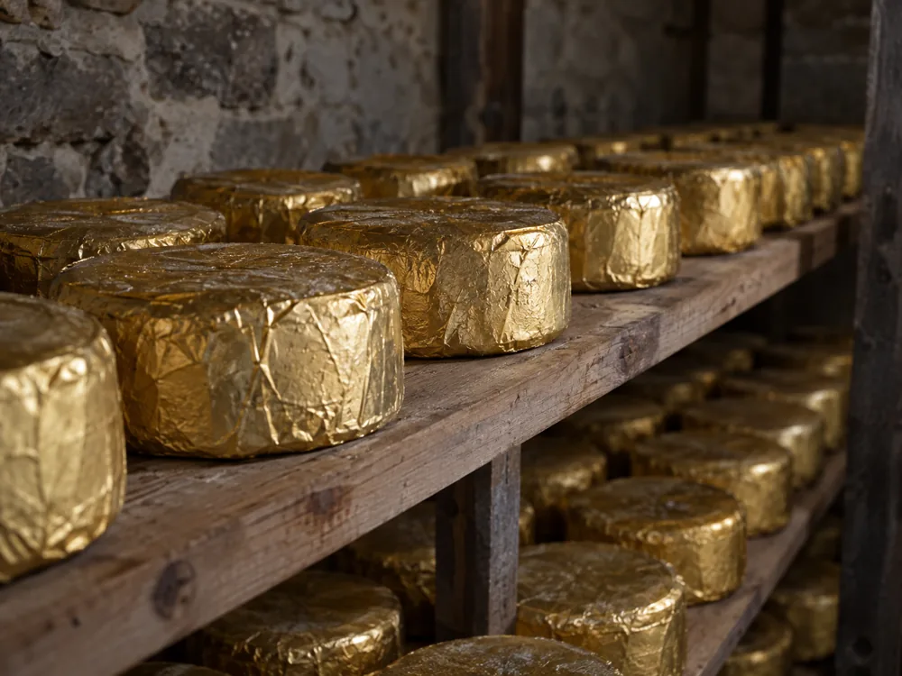 Round cheese wheels wrapped in gold foil on wooden shelves against a stone wall - Cashel Blue | KnowTheCheese
