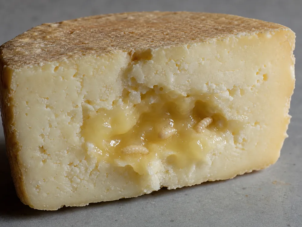 Firm sheep cheese paste surrounding a softened larvae-ripened center | KnowTheCheese
