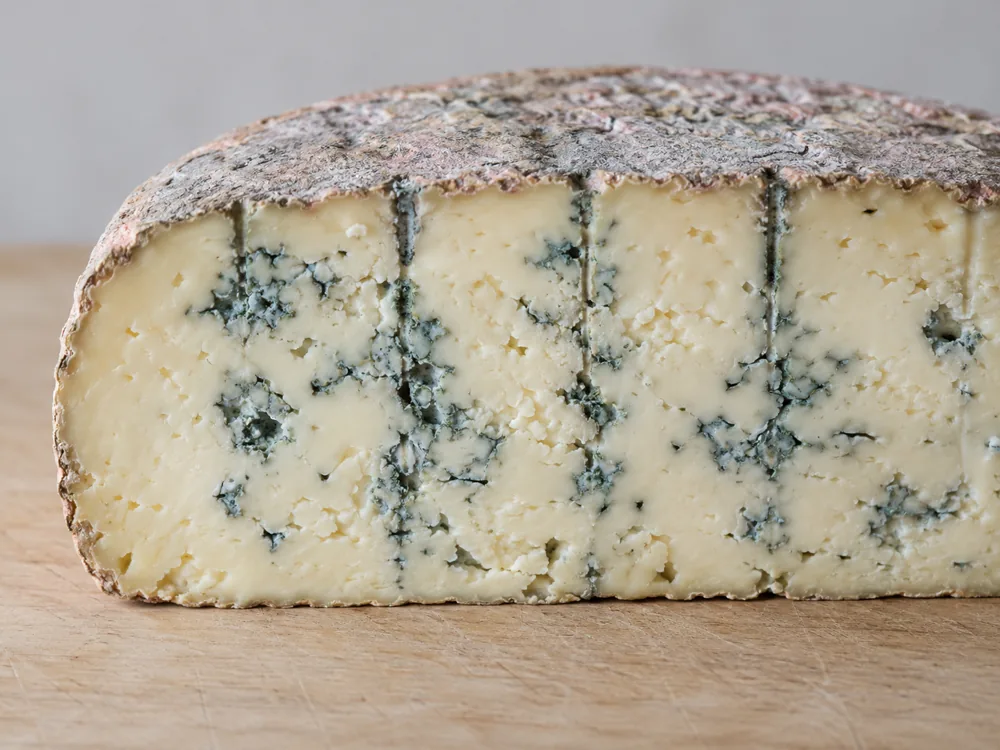 Cut face of a blue cheese half wheel with blue-green veins along straight needle channels - Gorgonzola vs Roquefort | KnowTheCheese