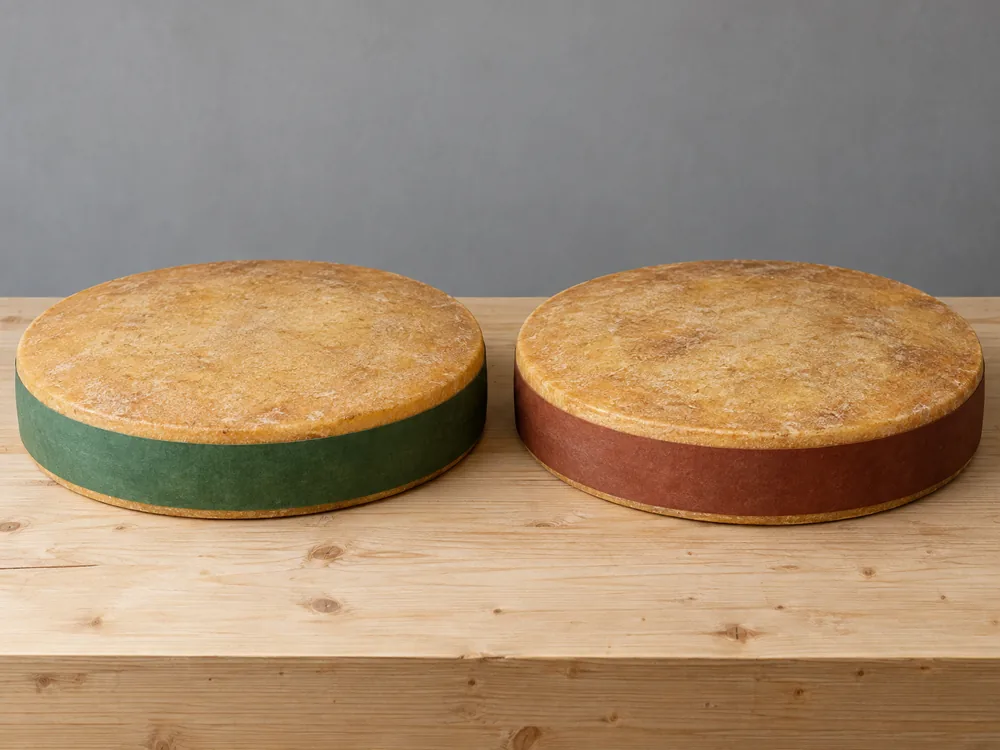 Two flat cheese wheels, one with a green band and one with a brick-brown band - Comte | KnowTheCheese