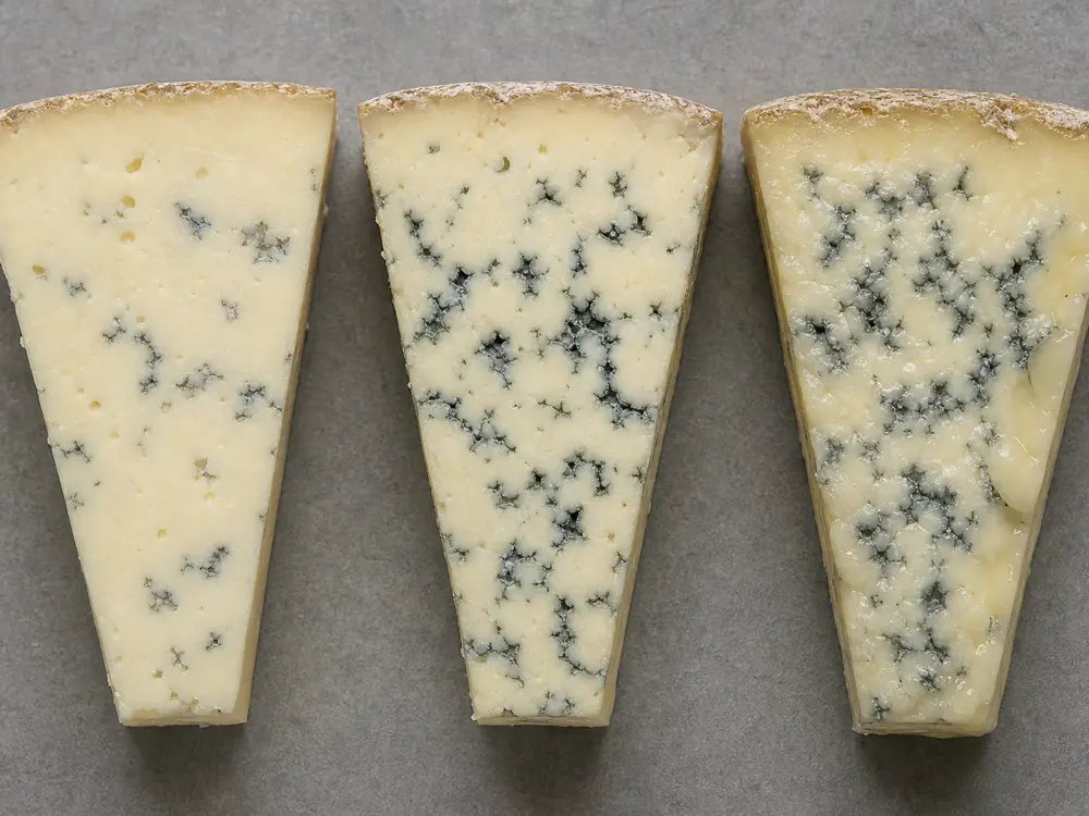 Cornish Blue pieces showing sparse veins ready creamy veins and poor wet condition - Cornish Blue | KnowTheCheese