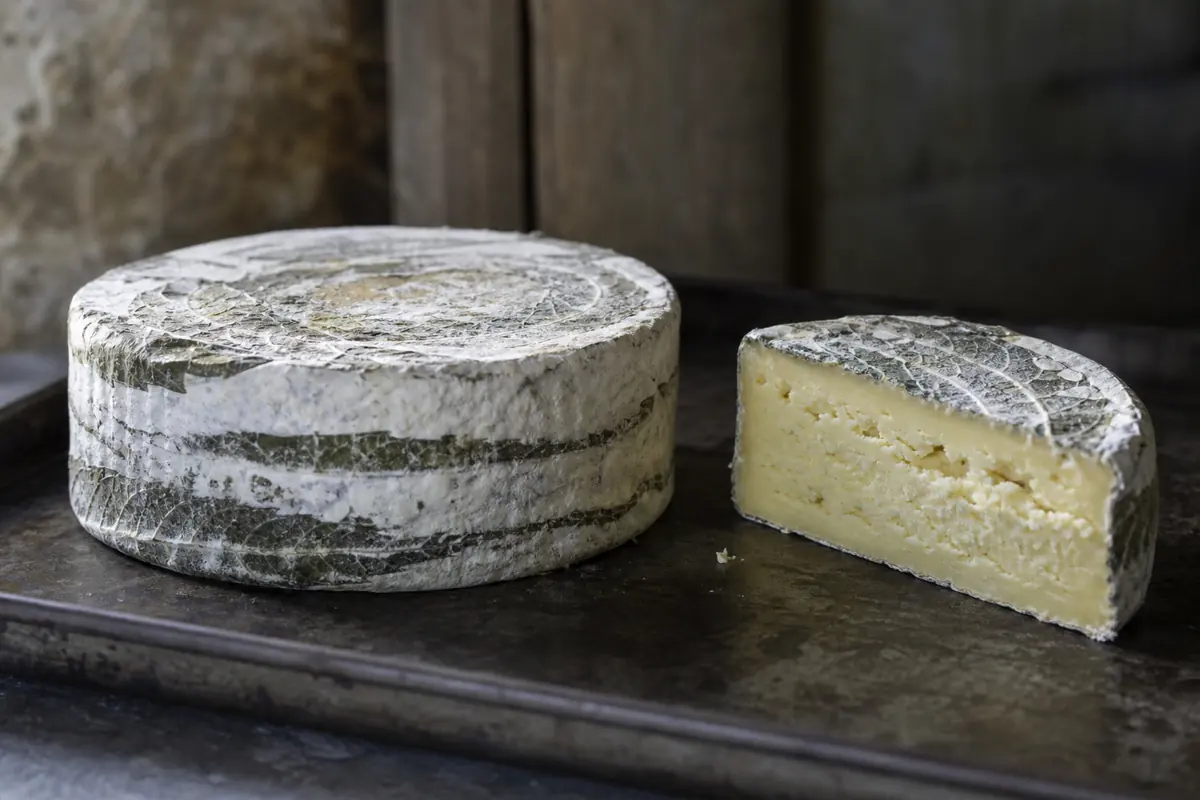 Cornish Yarg wheel and wedge with white-bloom nettle rind | KnowTheCheese