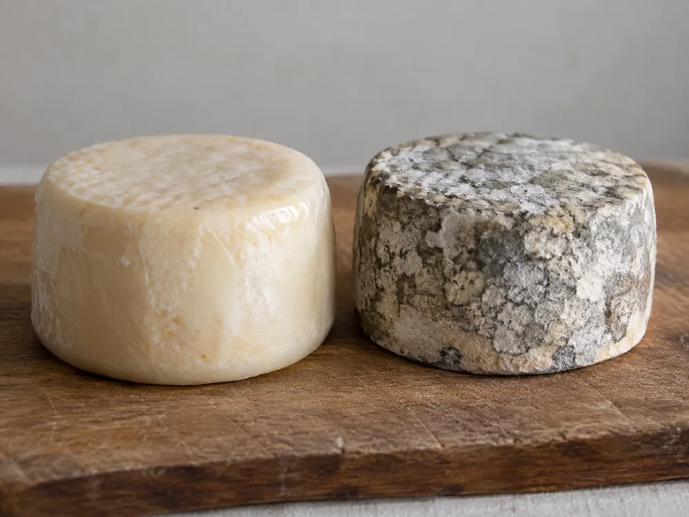 Two cheese wheels, one with a thin smooth coating and one with a grey mottled natural rind - Cotherstone | KnowTheCheese