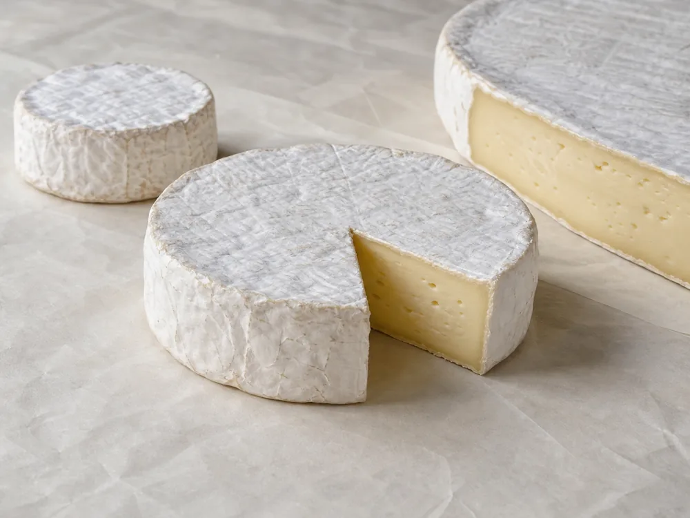 Coulommiers wheel between smaller Camembert and larger Brie sizes - Coulommiers | KnowTheCheese