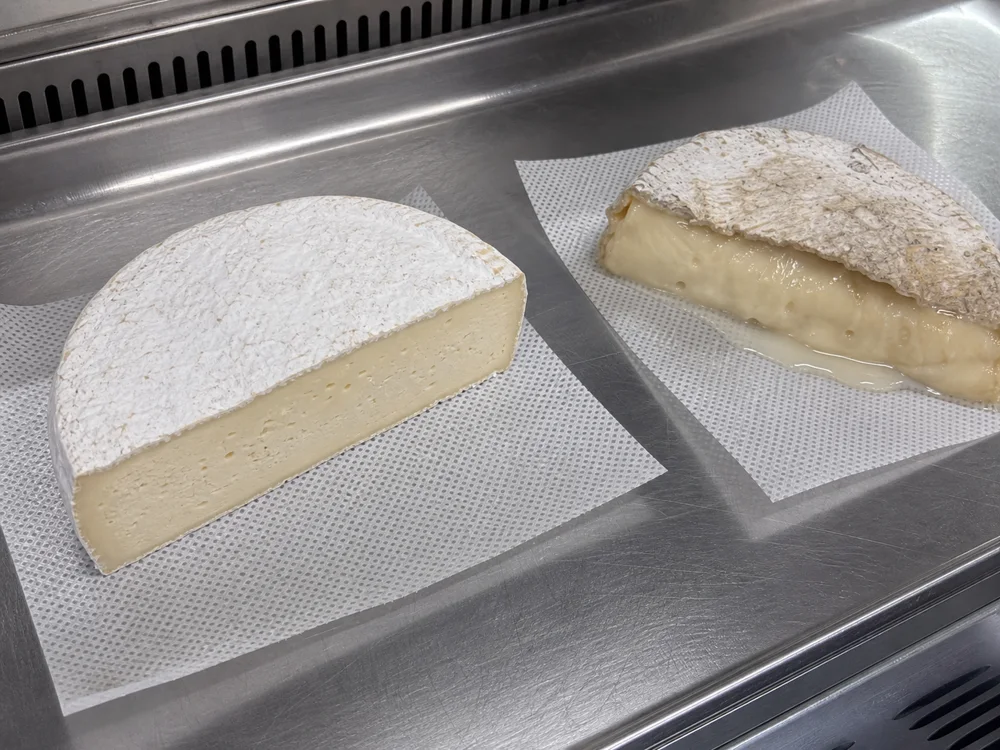 Fresh and overripe Coulommiers halves compared on a refrigerated cheese tray - Coulommiers | KnowTheCheese