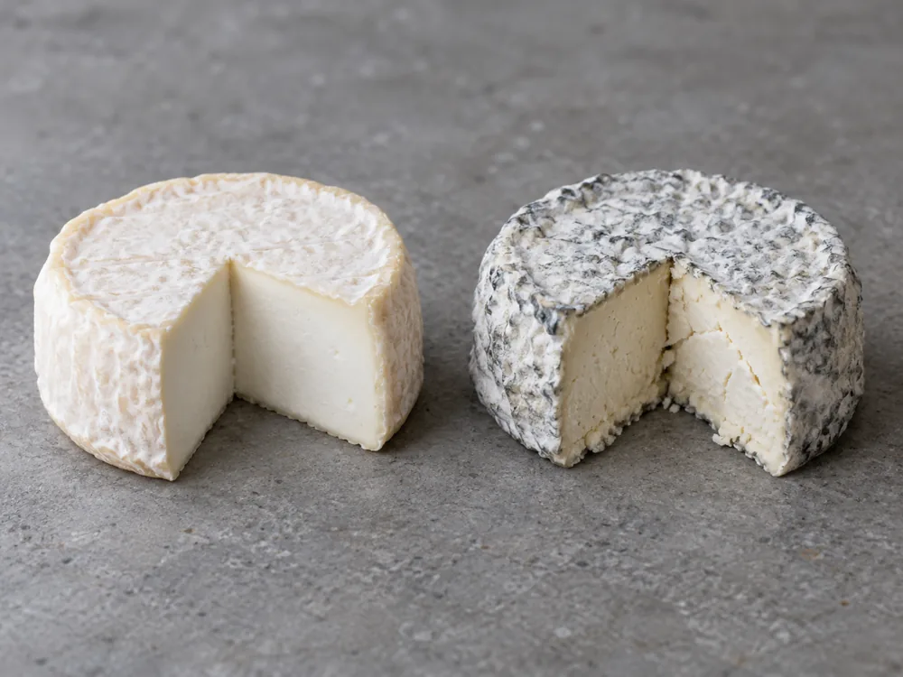 Cut Crottin de Chavignol with an ivory rind and smooth white paste beside a cut one with blue-grey mould and a brittle paste - Crottin de Chavignol | KnowTheCheese