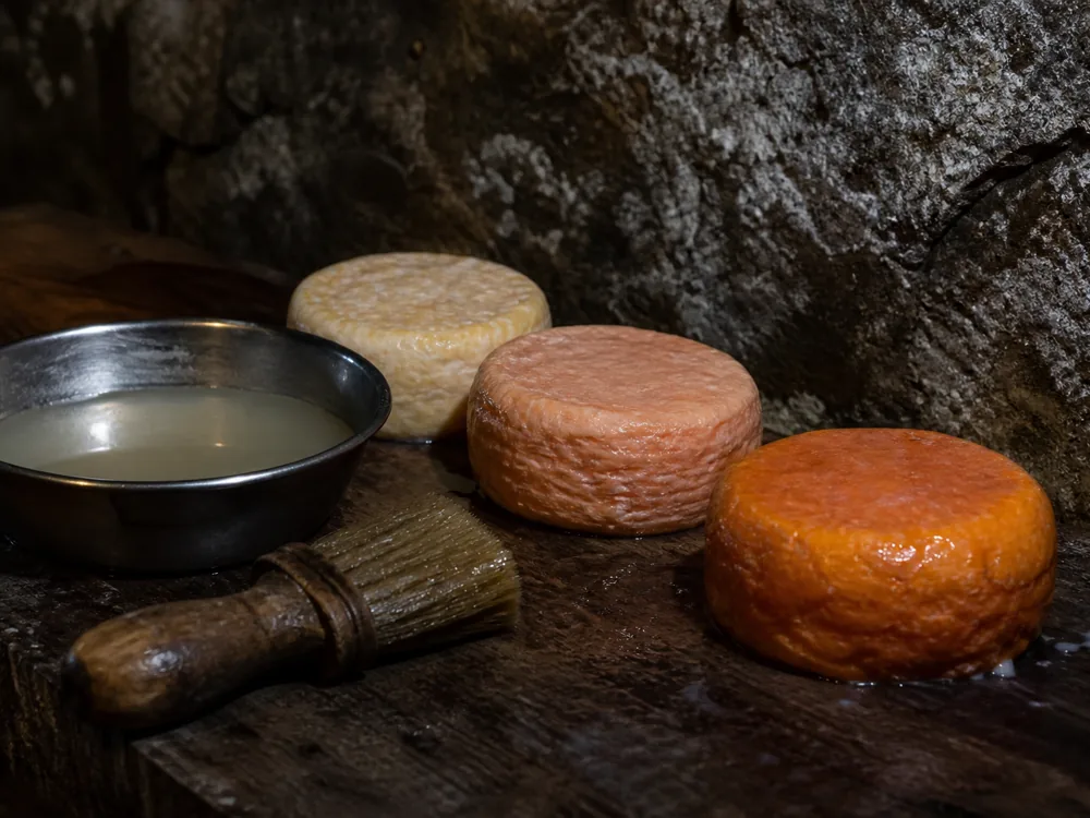 Brine brush and bowl beside washed-rind cheese wheels on a damp cave shelf - Dorset cheese | KnowTheCheese