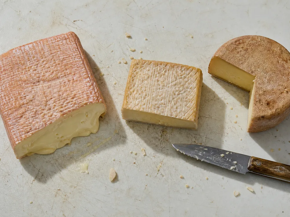 Square Taleggio, square Pont l'Eveque, and a round toma cut open on a kitchen counter - Dorset cheese substitutes | KnowTheCheese