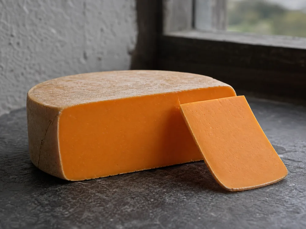 Double Gloucester wheel showing its orange paste and thin rind - Double Gloucester | KnowTheCheese