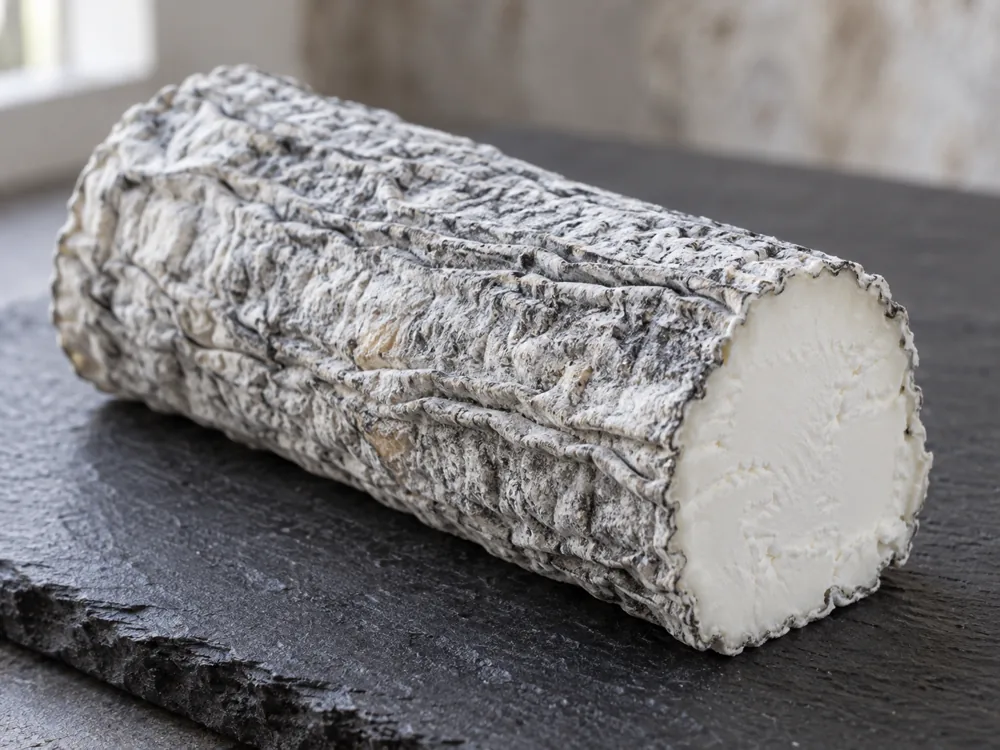 Ash coated goat cheese log with a wrinkled grey rind and one flat cut end showing white interior - Driftwood | KnowTheCheese
