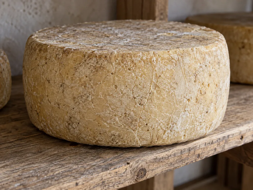 Whole hard cheese wheel with a dry, natural, unwaxed rind on a wooden shelf - Dura cheese | KnowTheCheese