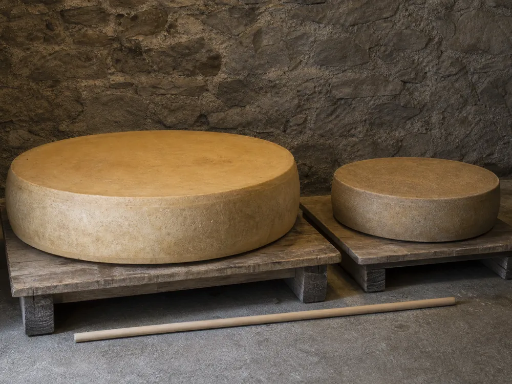 Large Emmental wheel beside a smaller Gruyere wheel in an aging cellar - Emmental vs Gruyere | KnowTheCheese