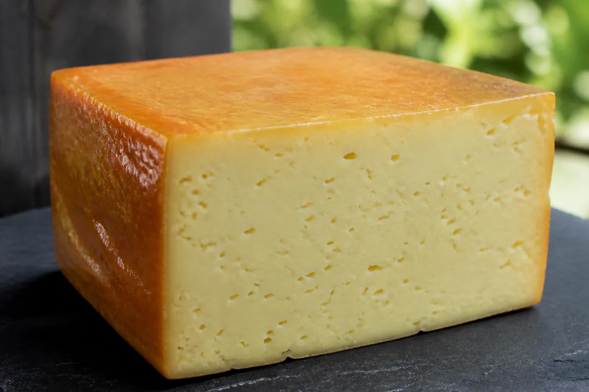 Rectangular block of Esrom cheese with a greasy orange-brown rind and rice-grain-sized holes - Esrom cheese | KnowTheCheese
