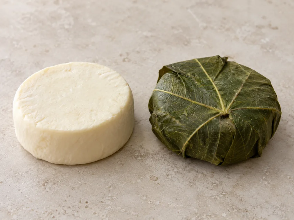 Plain small round cheese beside a small round cheese wrapped in a fig leaf - Figaro | KnowTheCheese