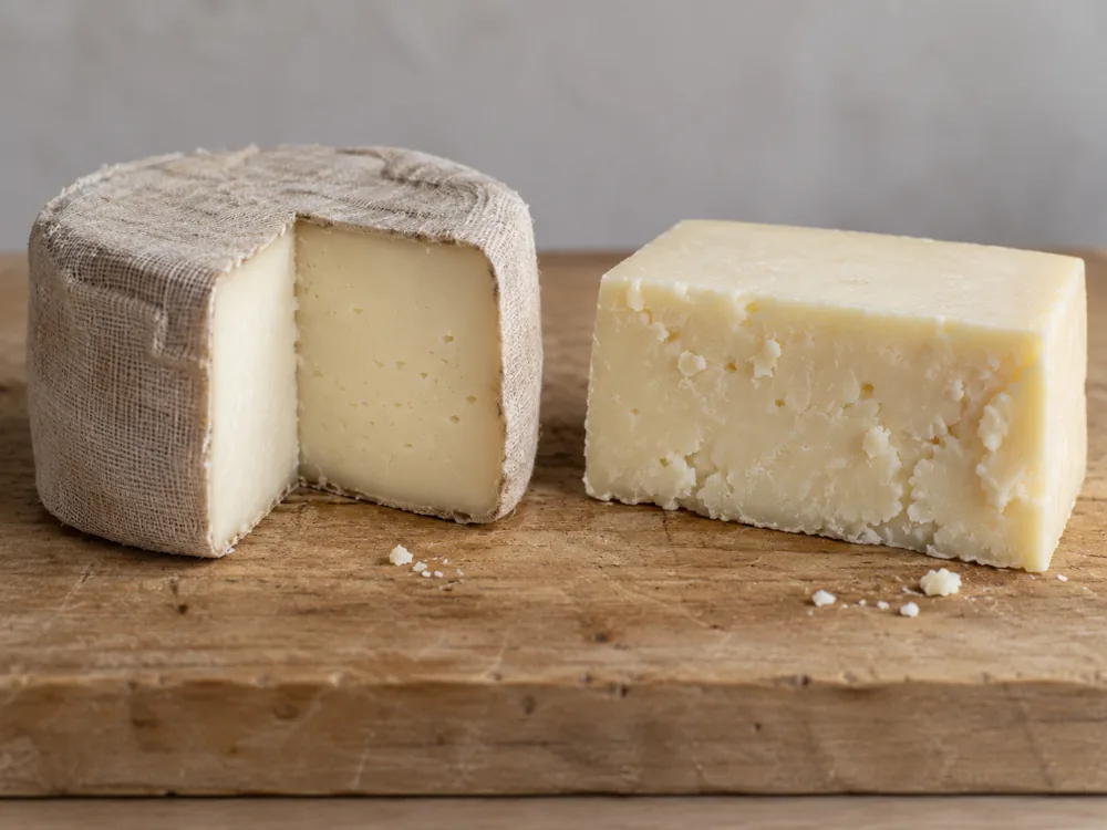 Clothbound cheese wheel cut open beside a rindless block of semi-hard cheese - Flagship cheese | KnowTheCheese