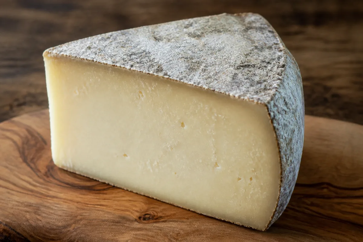 Wedge of Garrotxa cheese showing its powdery grey-blue rind and ivory paste