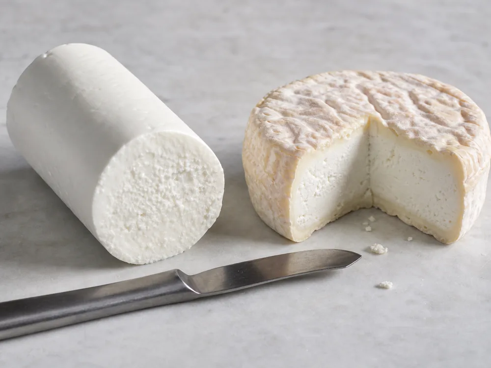 Fresh goat cheese log beside a ripened goat cheese round showing different paste textures - Goat cheese | KnowTheCheese