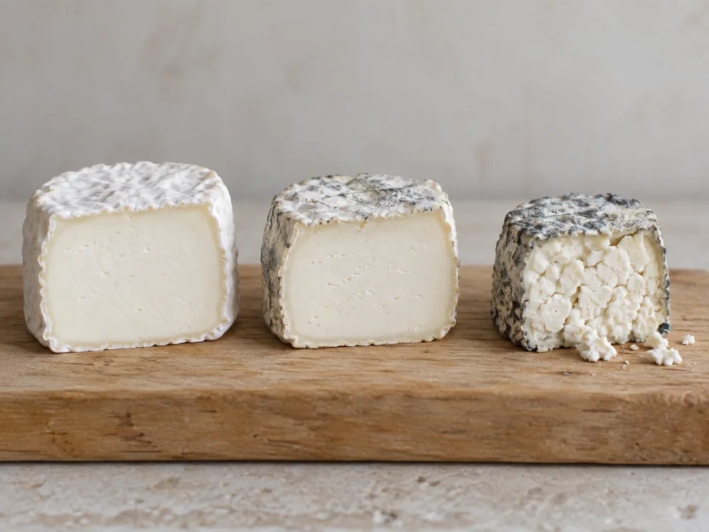 Three small goat cheeses cut open, from a white-rinded young cheese to a crumbly one with a bluish rind - Goat cheese | KnowTheCheese
