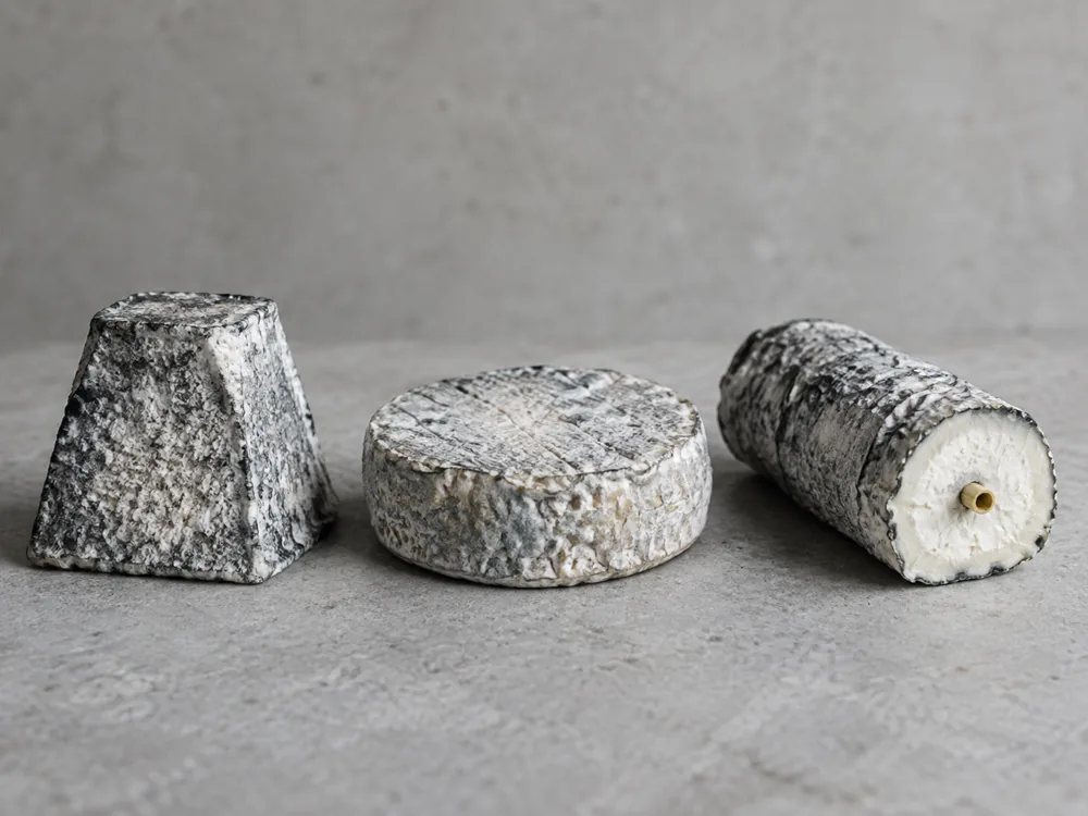Three French goat cheeses: a truncated pyramid, a flat cylinder and an ash-coated log with a straw at its centre - Goat cheese | KnowTheCheese