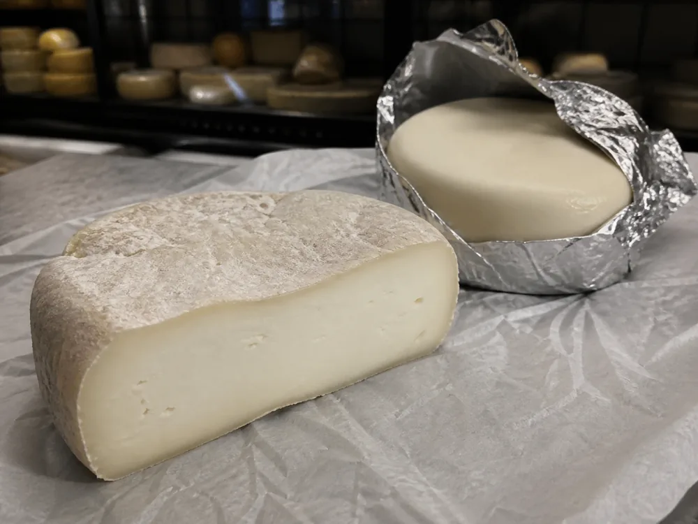 Natural-rind Dutch goat cheese beside a smooth foil-ripened wheel at a cheese counter - Goat Gouda | KnowTheCheese