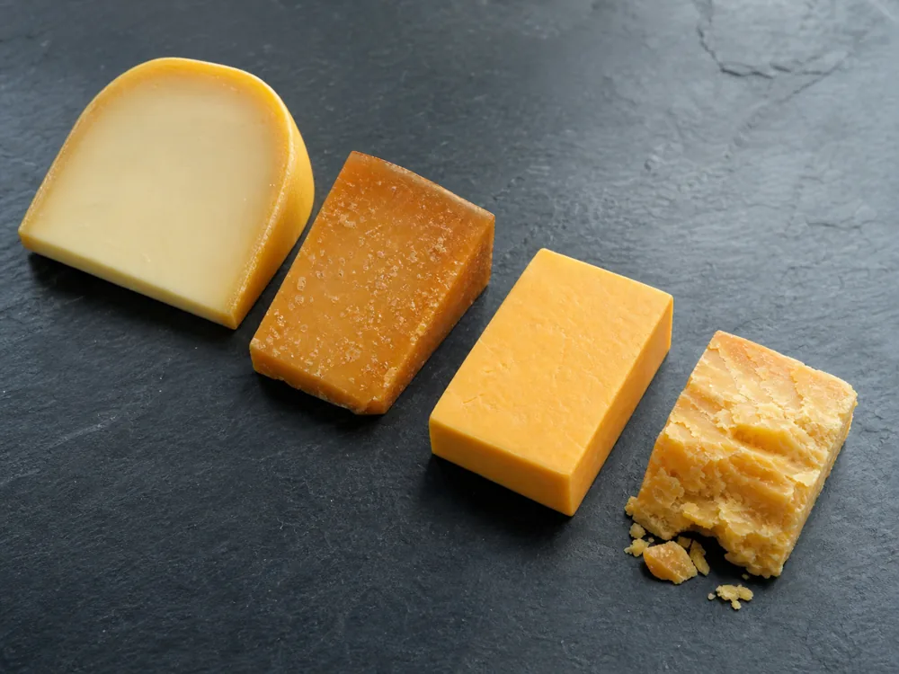 Young and aged Gouda beside mild and aged Cheddar - Gouda vs Cheddar | KnowTheCheese