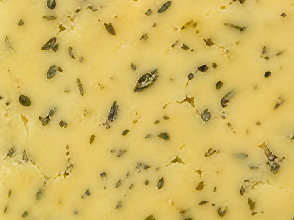 Close-up of cheddar cheese showing herb flecks throughout the paste for Green Thunder cheese - Green Thunder cheese | KnowTheCheese