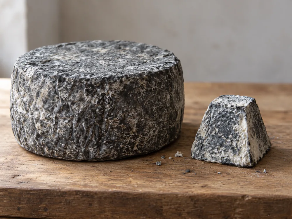Large round ash-rinded goat cheese wheel beside a much smaller truncated pyramid with a dark rind - Grey Owl and Valençay | KnowTheCheese