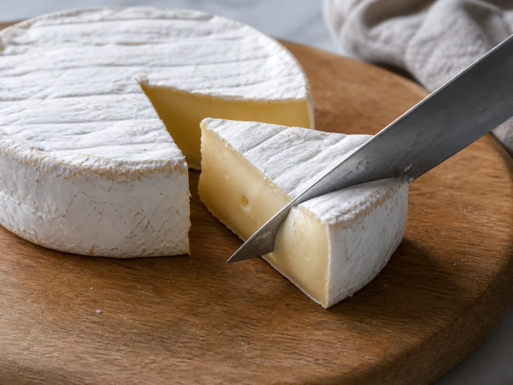 Warm blade cutting a soft-ripened cheese cleanly without dragging the paste - How to cut cheese | KnowTheCheese