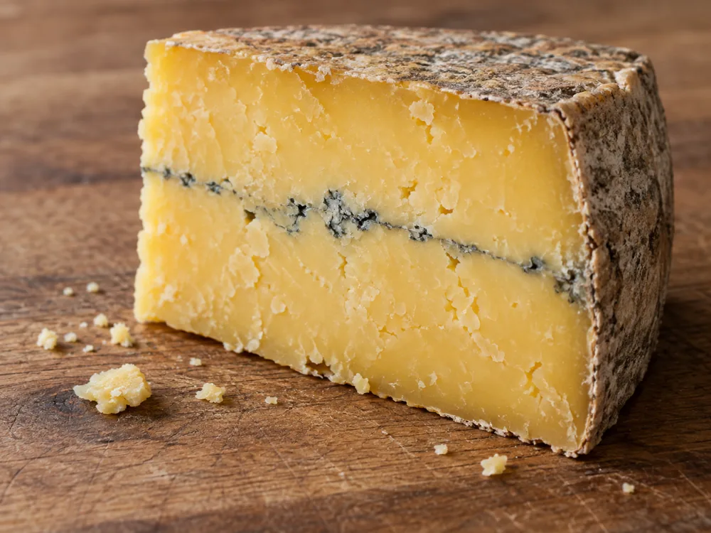 Illustration of a cut wedge of firm golden cheddar with a thin blue-grey vein and a natural rind - Hafod cheese | KnowTheCheese