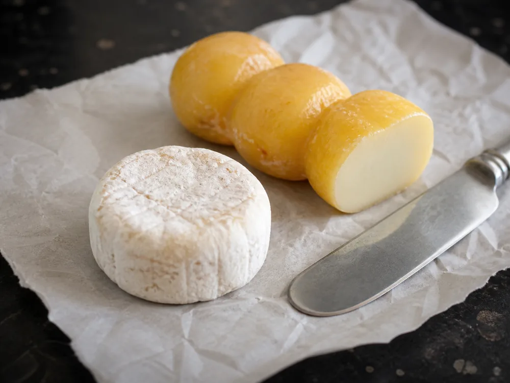 Small white-mold and yellow-orange sour-milk cheese rounds compared on deli paper - Harzer | KnowTheCheese