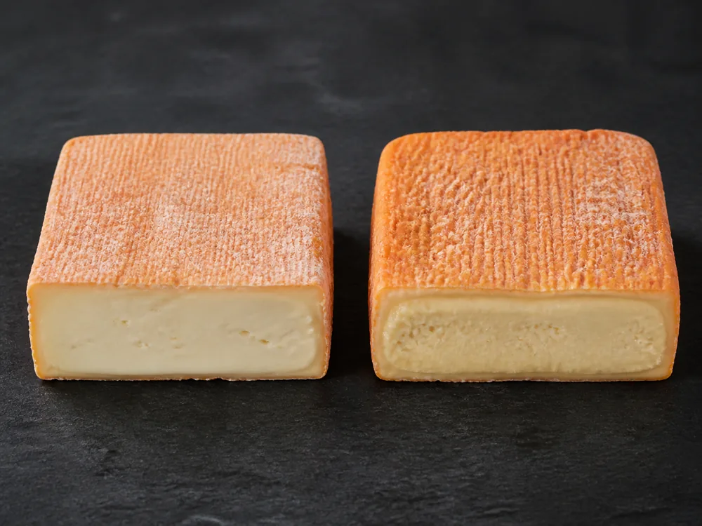 Mild and mature square Herve cheeses with orange washed rinds - Herve cheese | KnowTheCheese