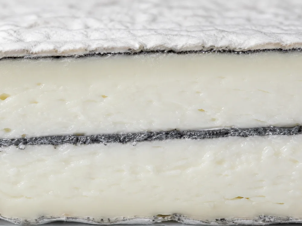 Edible vegetable ash line inside Humboldt Fog goat cheese - Humboldt Fog cheese | KnowTheCheese
