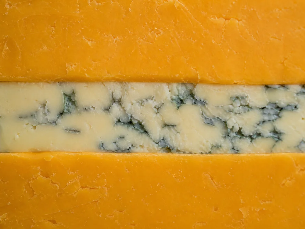 Orange Double Gloucester layers around Blue Stilton in Huntsman - Huntsman cheese | KnowTheCheese