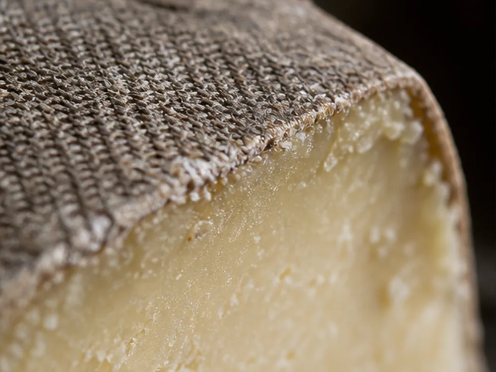 Mottled clothbound rind meeting pale Isle of Mull cheddar paste - Isle of Mull cheese | KnowTheCheese