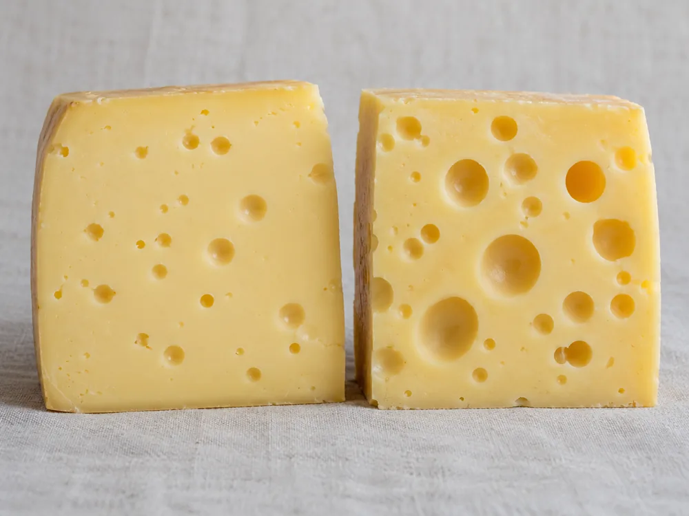 Cut faces of Jarlsberg with fewer, smaller holes beside Emmental with larger holes - Jarlsberg Cheese | KnowTheCheese